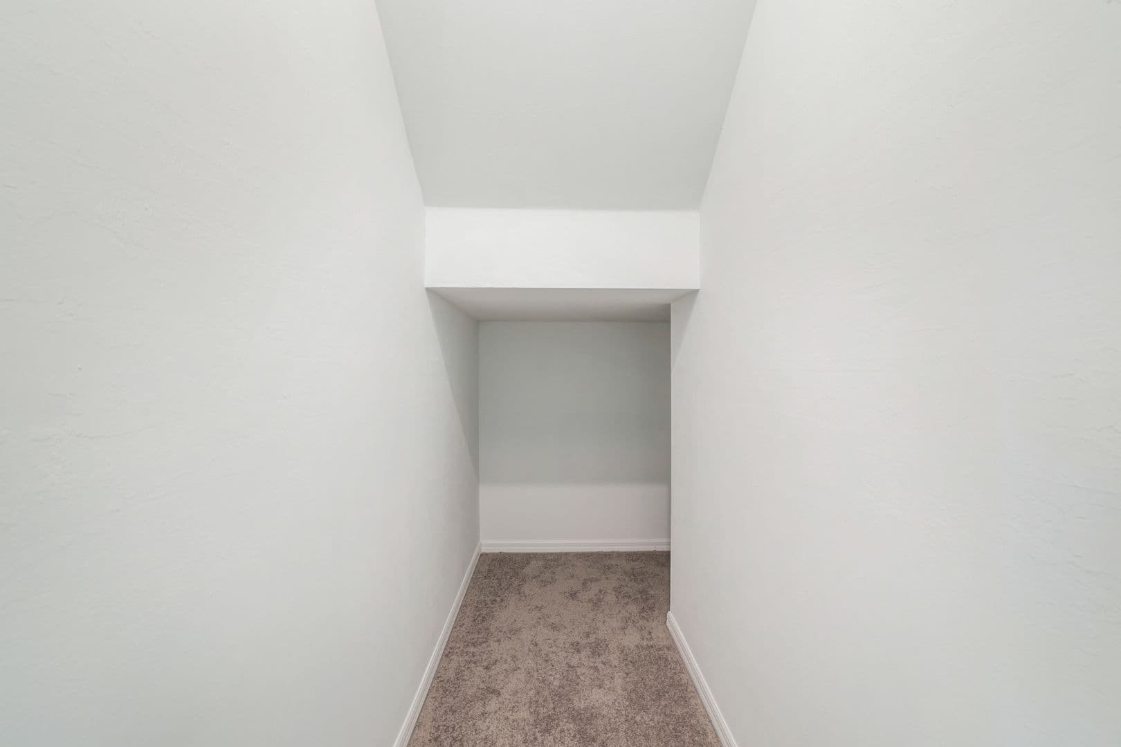Image 1525734